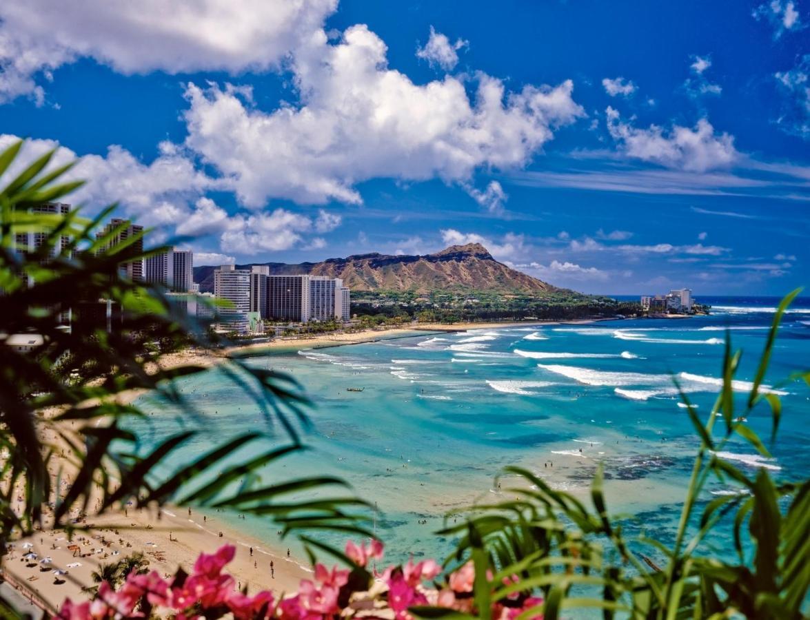 Diamond Head Views Retreat With Free Parking & Near Waikiki Beach! Χονολουλού Εξωτερικό φωτογραφία