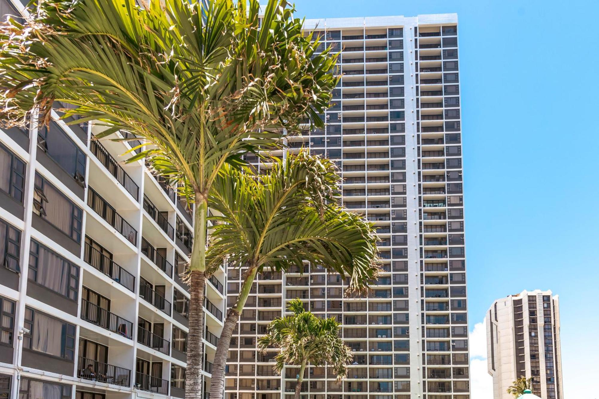 Diamond Head Views Retreat With Free Parking & Near Waikiki Beach! Χονολουλού Εξωτερικό φωτογραφία