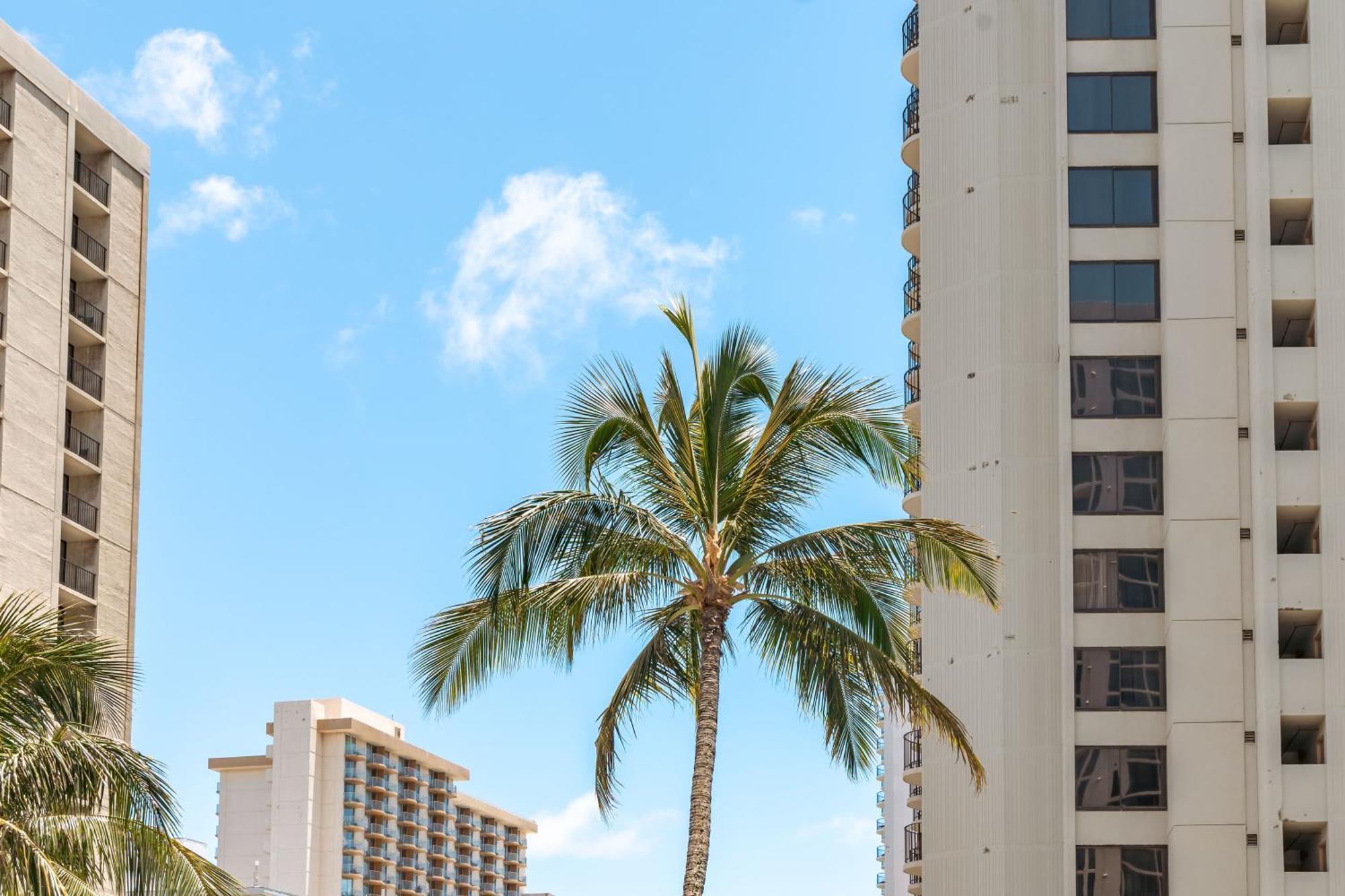 Diamond Head Views Retreat With Free Parking & Near Waikiki Beach! Χονολουλού Εξωτερικό φωτογραφία